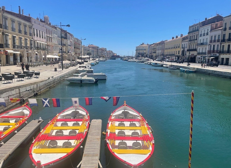 A marina with boats docked, a clear sky, and buildings along the waterfront. 5