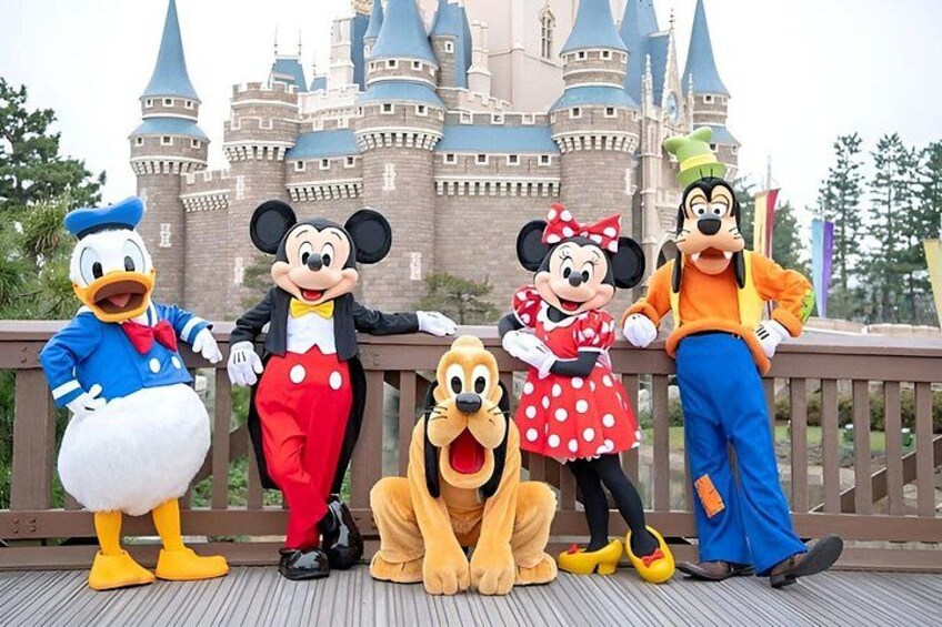 Ticket to Tokyo Disneyland with options 2