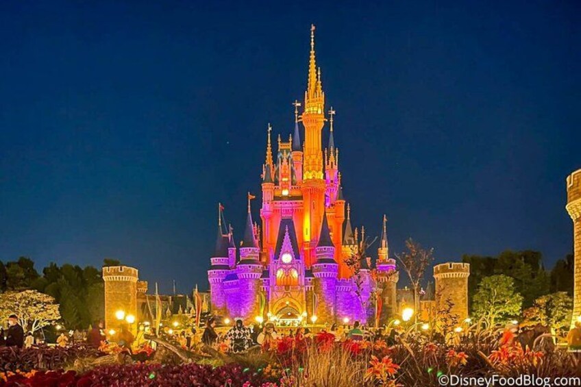 Ticket to Tokyo Disneyland with options 1