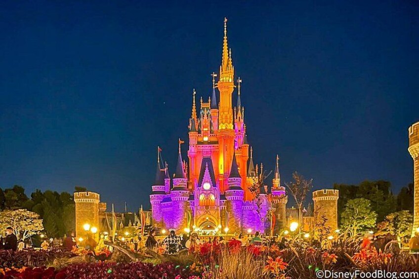 Ticket to Tokyo Disneyland with options 1