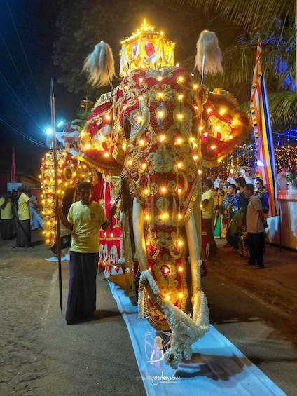 Picture 12 for Activity Colombo: Private City Tour by Car with Guide - All Inclusive 3