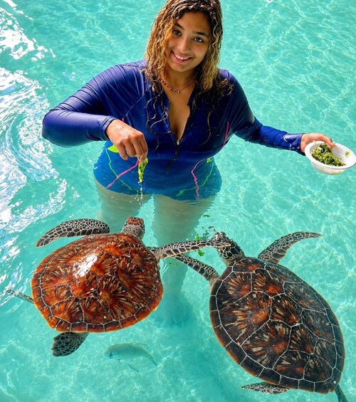 Picture 8 for Activity Zanzibar: Nungwi Turtle Swimming & Blue Lagoon Experience 5