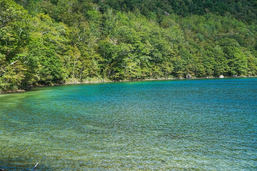 A clear turquoise sea, a forested coastline, and a rocky outcrop. 5
