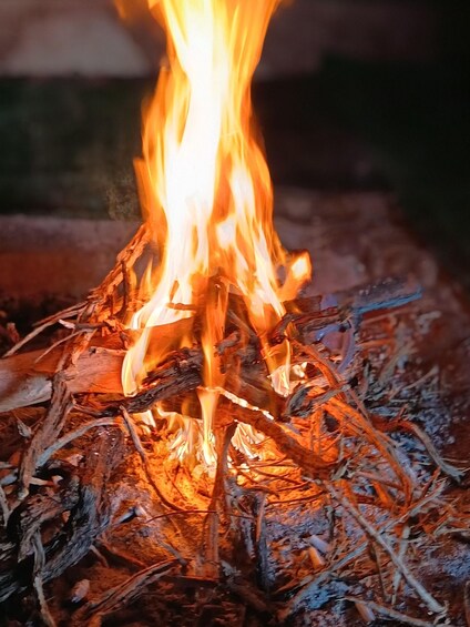 A campfire with flames rising from burning wood. 2