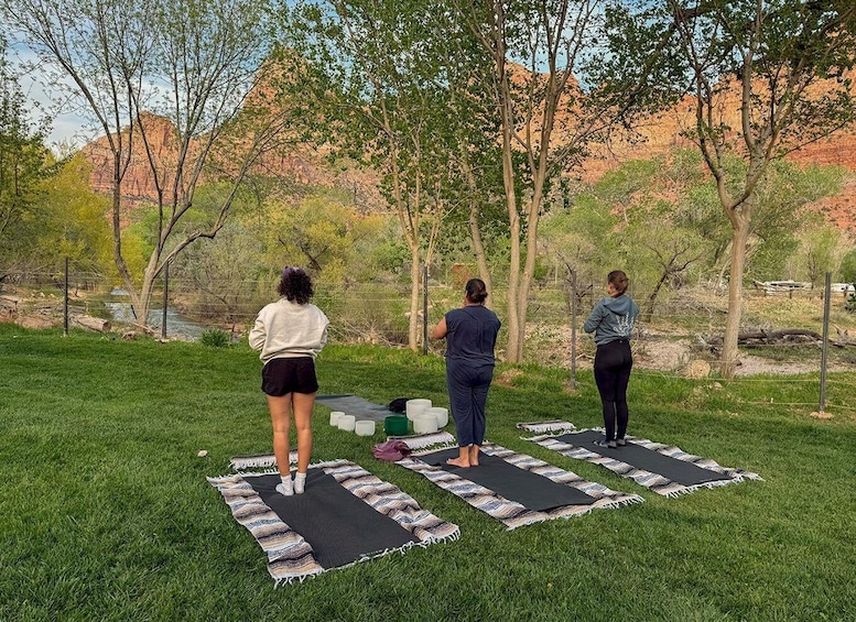 Three people practicing yoga on mats in a grassy area with trees and a river in the background. 5