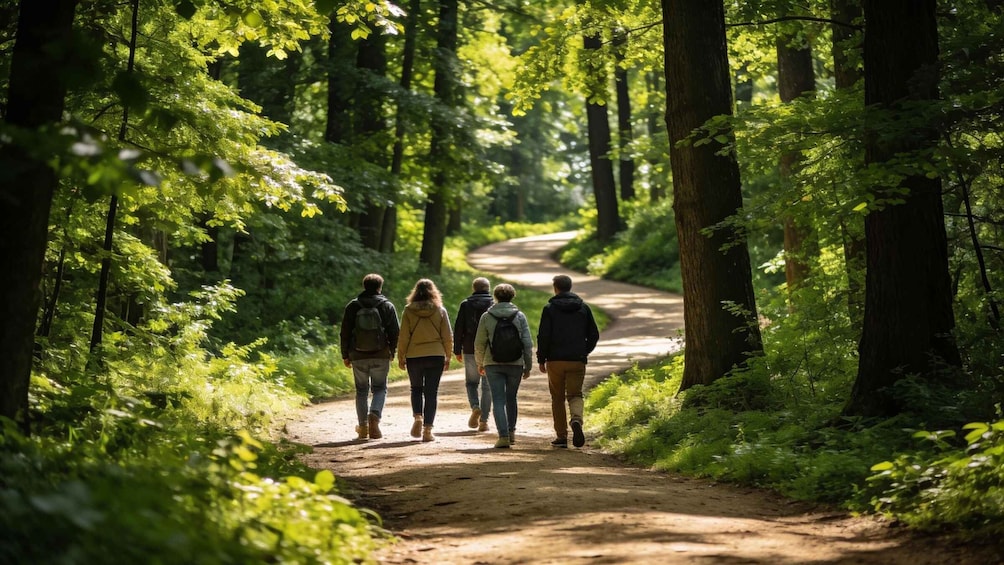 A group of people walking on a dirt path in a forest. 5