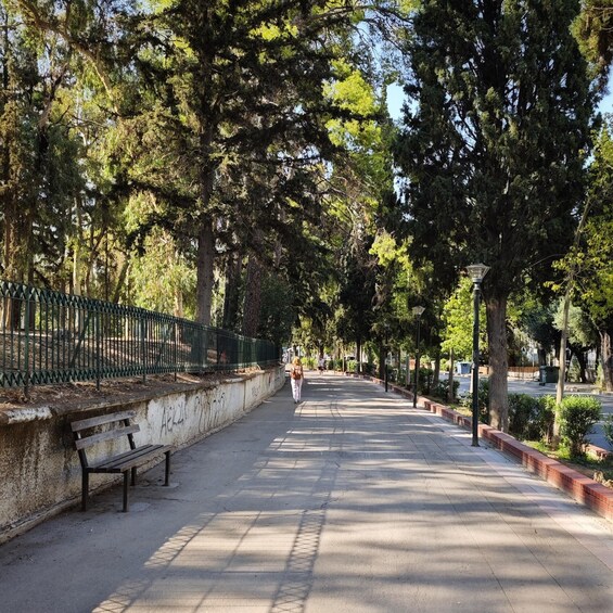 A tree-lined pathway with benches and a fence. 5