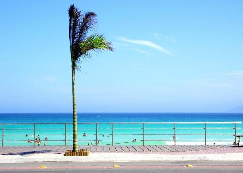 A beach with a palm tree, a wooden boardwalk, and the ocean. 2