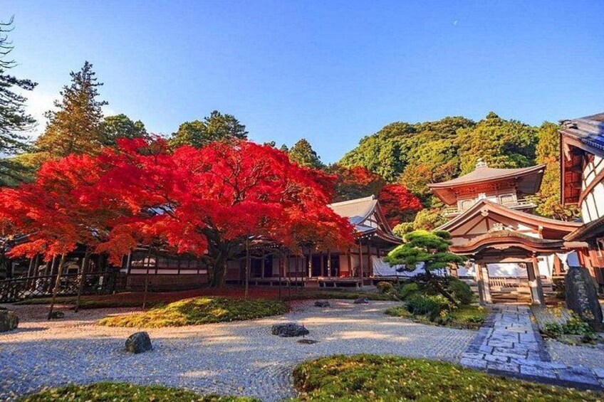 Itoshima Hidden Gems Day Tour and Shiraito Falls from Fakouka 5