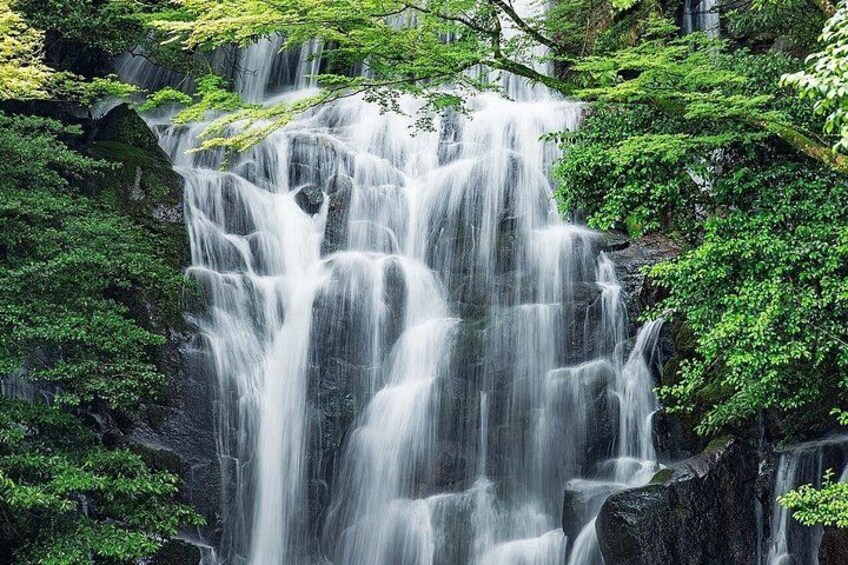 Itoshima Hidden Gems Day Tour and Shiraito Falls from Fakouka 2
