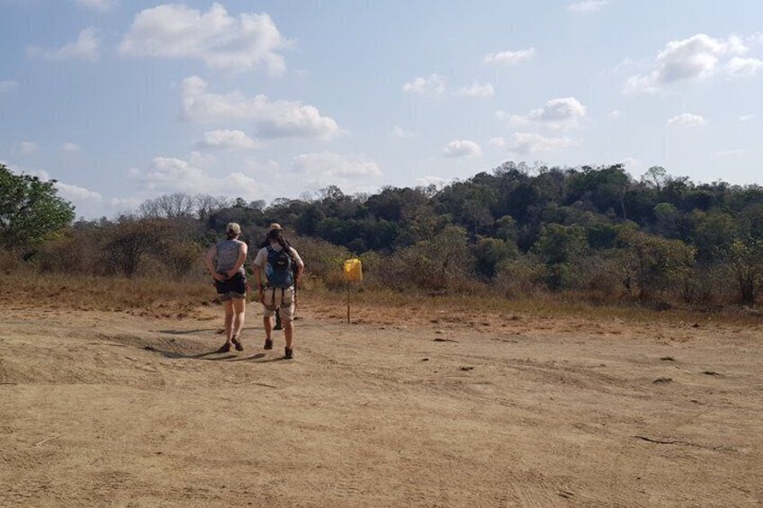 Two people standing on a dirt path with a forest in the background. 4