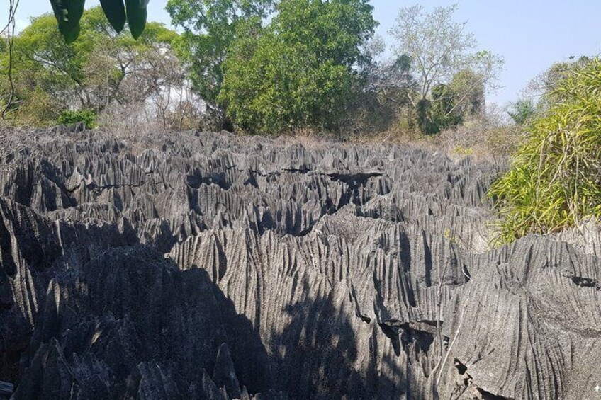 A landscape with a series of vertical rock formations. 5