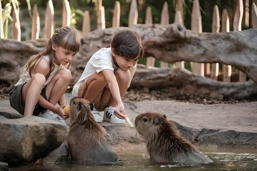 Children interacting with otters in a zoo enclosure. 2