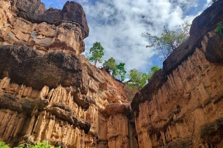A canyon with layered rock formations and sparse vegetation. 4