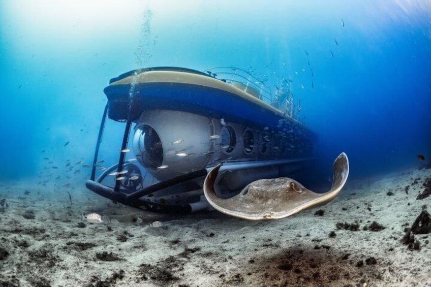 An underwater vehicle with a large propeller and a streamlined body. 3