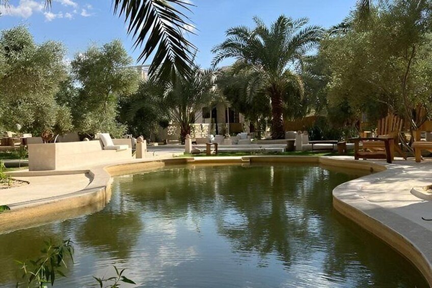 A landscaped pool area with palm trees, lounge chairs, and a curved water feature. 1