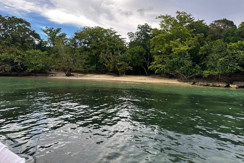 A body of water with a sandy beach and dense green foliage in the background. 5