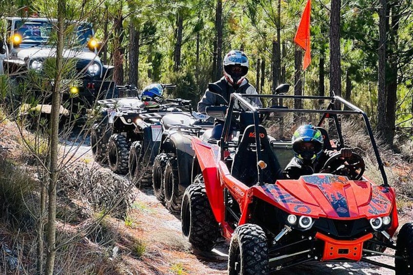 Off-road vehicles on a forest trail. 4