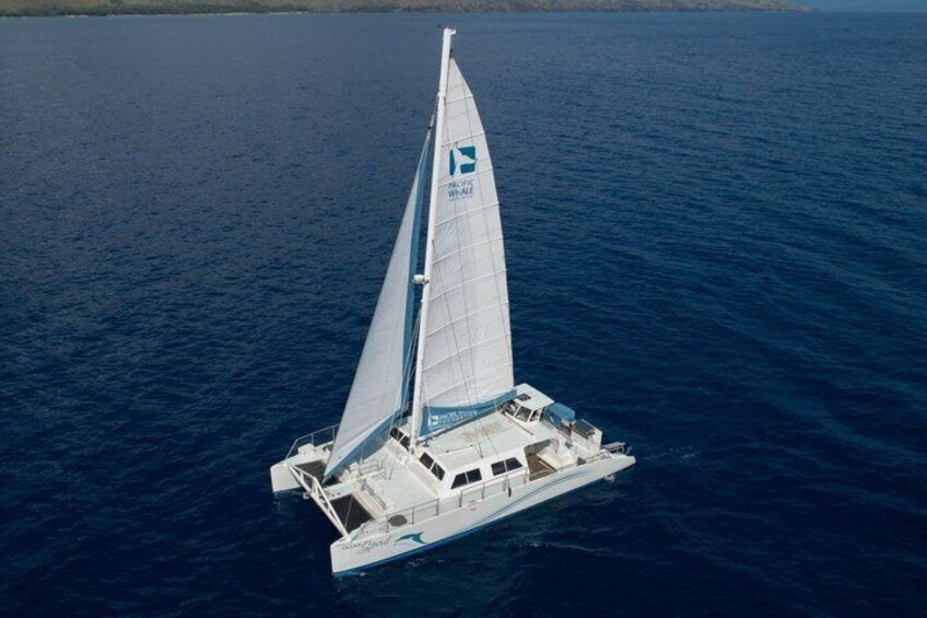 Maui Snorkel and Sunset Sail Lahaina 1