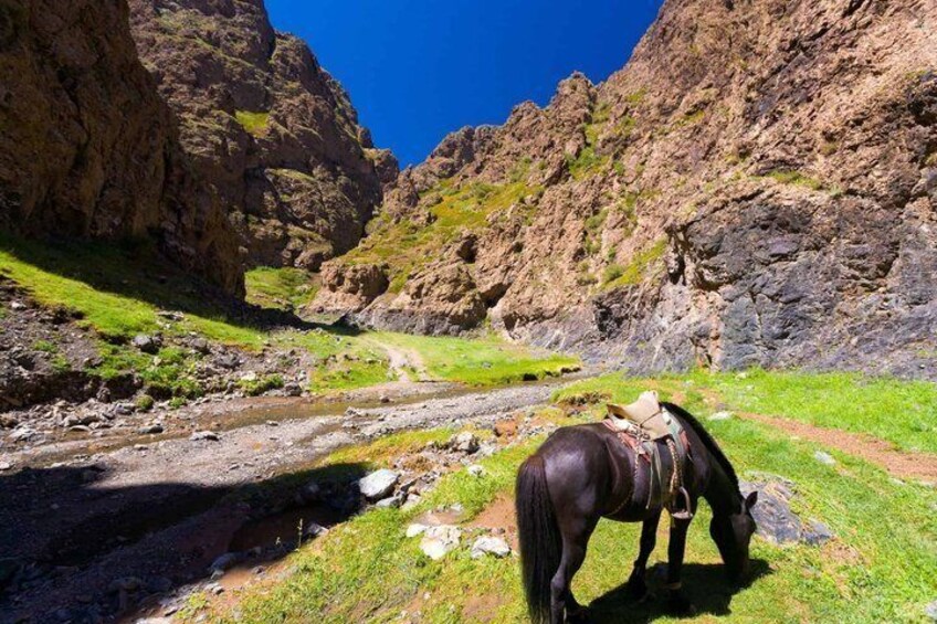 A horse grazing in a mountainous area with a stream and rocky cliffs. 3