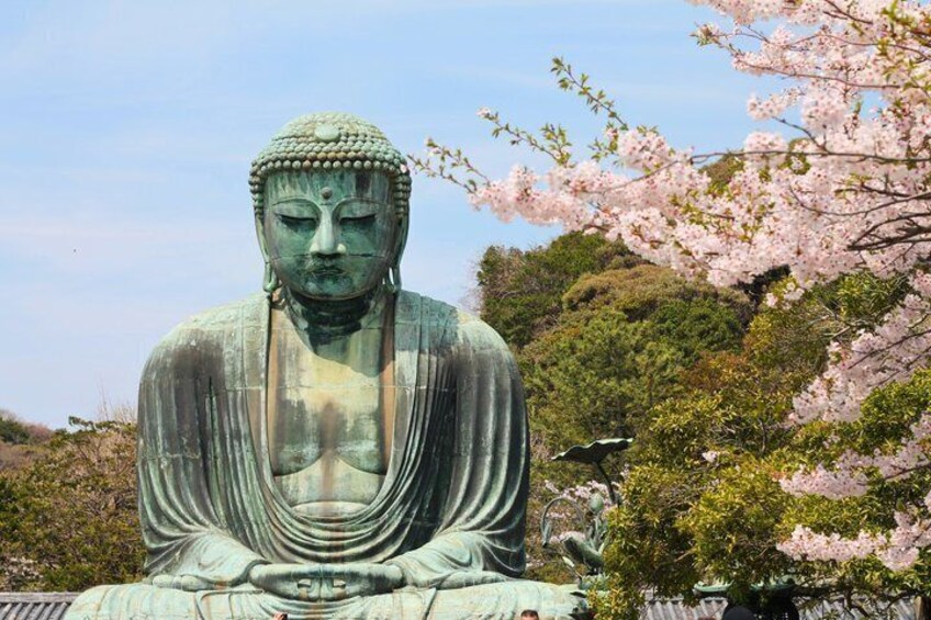 A large Buddha statue surrounded by cherry blossoms. 1