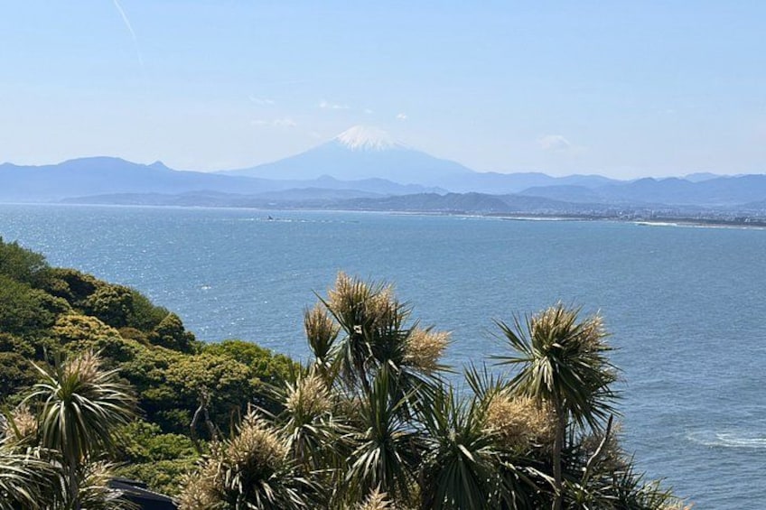 A coastal landscape with a mountain in the background, palm trees in the foreground, and a clear sky. 4