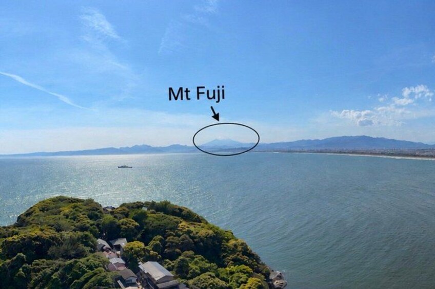 A coastal landscape with Mt Fuji in the distance, a body of water, and a forested area. 5