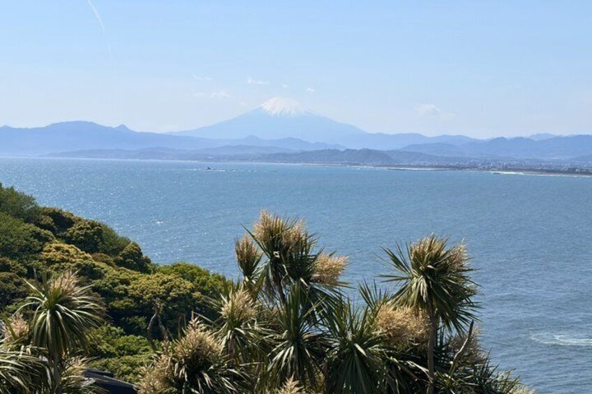 A coastal landscape with palm trees, a body of water, and distant mountains. 4