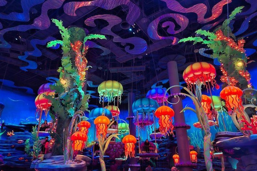 Tokyo DisneySea Ticket and Shared Transfers 3