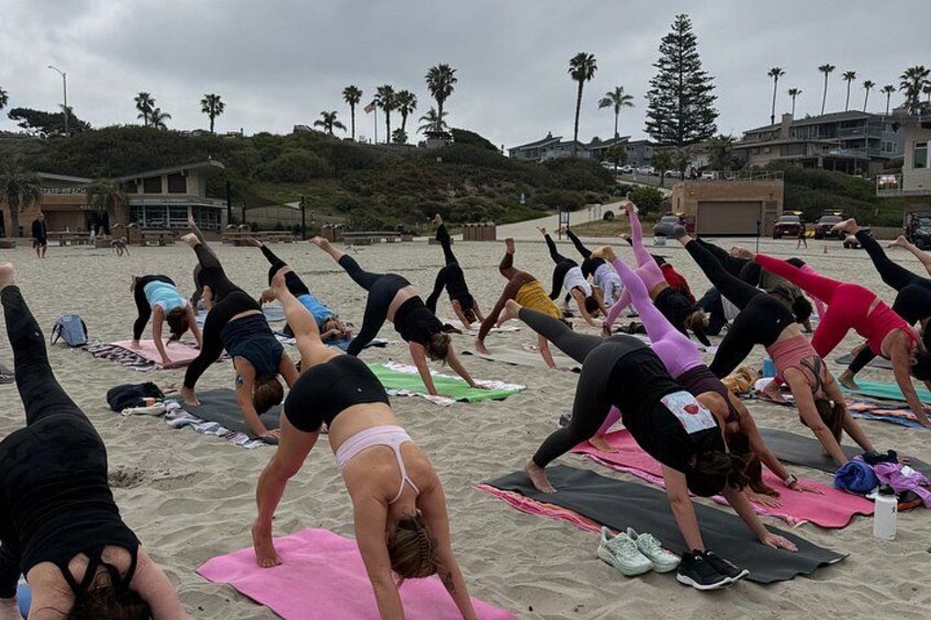 A group of people doing yoga on mats on a beach with palm trees and buildings in the background. 2