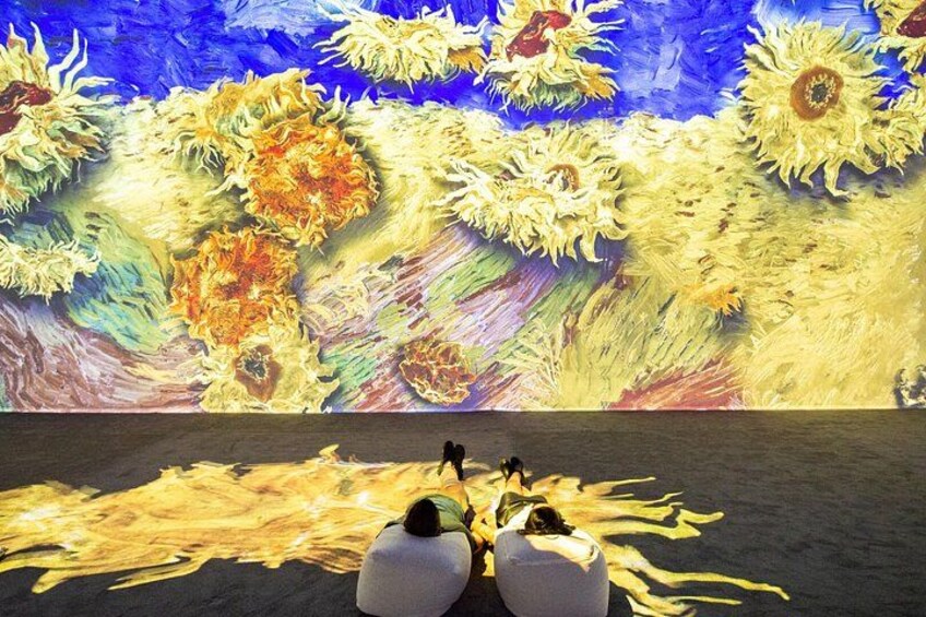 Van Gogh: The Immersive Experience Ticket Denver 3