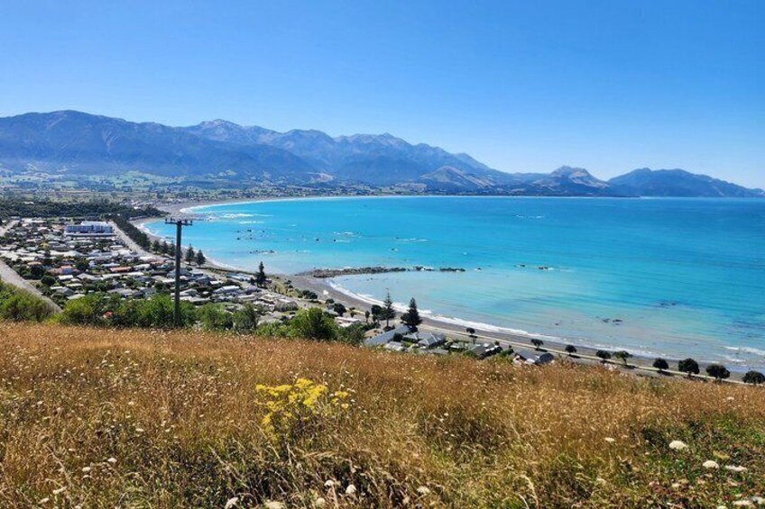 A coastal town with a clear blue sea, mountains in the background, and a grassy hill with wildflowers. 5
