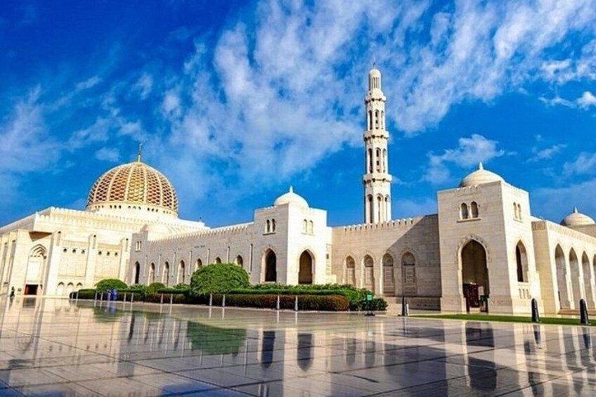 8 Hour Bird Watching and Muscat Highlights Tour 4