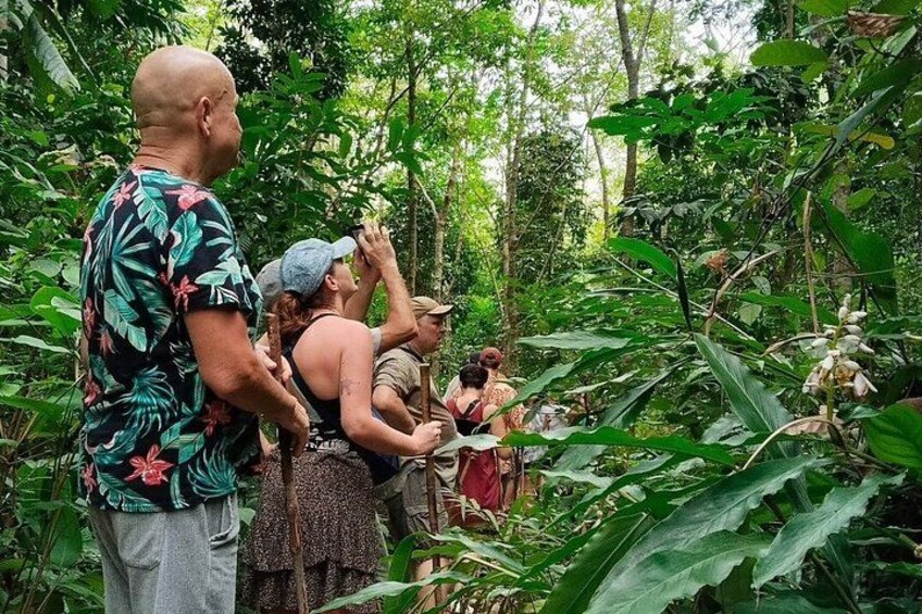 Private Koh Chang Jungle Trekking with Hotel Transfer 5
