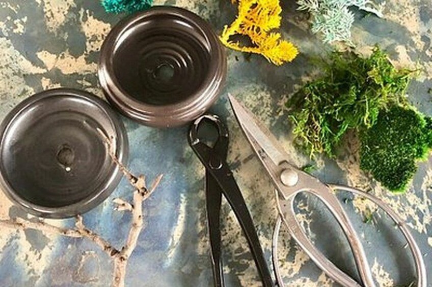 A pair of scissors, two metal lids, and artificial plants on a textured surface. 5