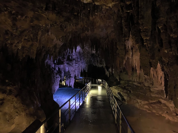 Una entrada de cueva con una pasarela metálica y barandillas, que conduce a una masa de agua. 5