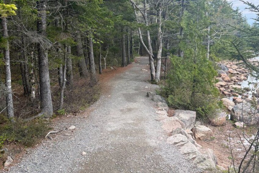 A gravel trail in a forested area with trees and a rocky shoreline. 2