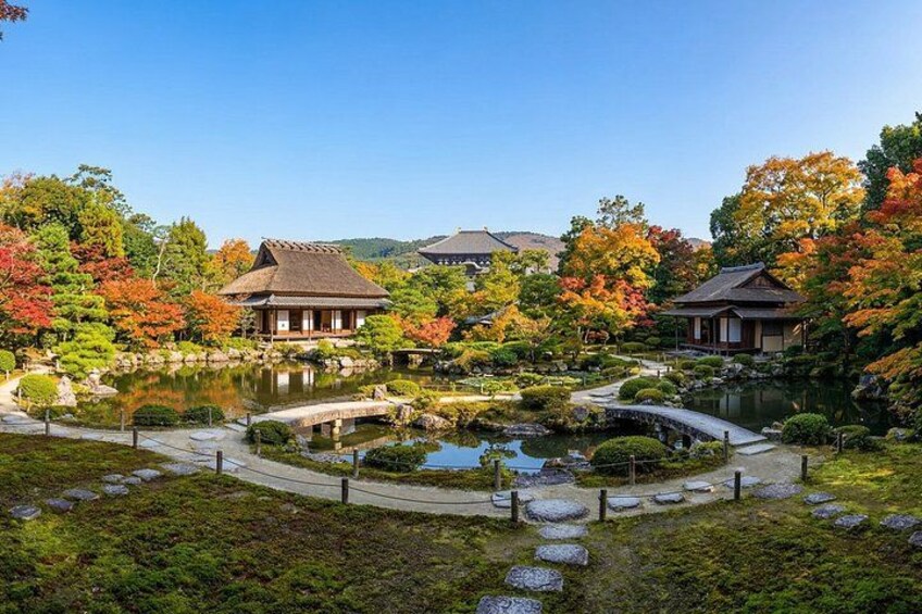 Un jardín japonés tradicional con un estanque, puentes de piedra y árboles de colores otoñales. 3