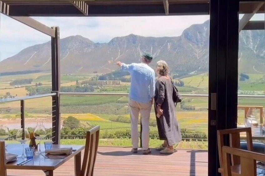 Hermanus Whale Coast Penguins and Wine 3