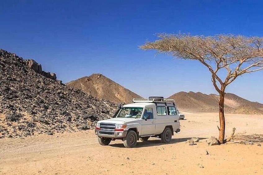 A white SUV parked in a desert with rocky terrain and sparse vegetation. 1