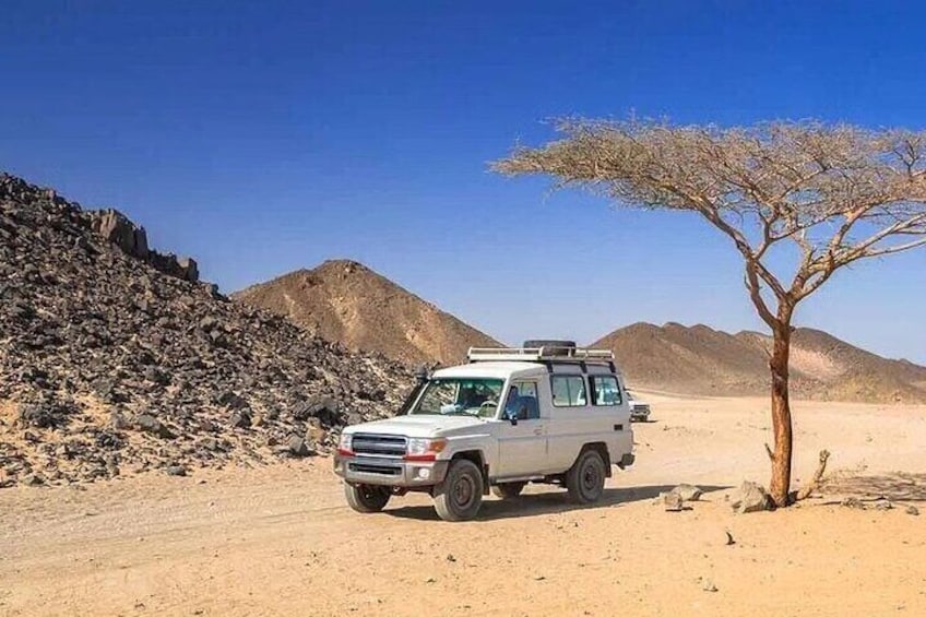 A white SUV parked in a desert with rocky terrain and sparse vegetation. 1