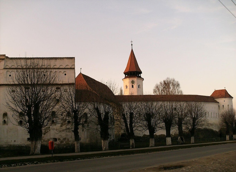 A historic building with a prominent tower and a clock, surrounded by bare trees and a paved road. 4
