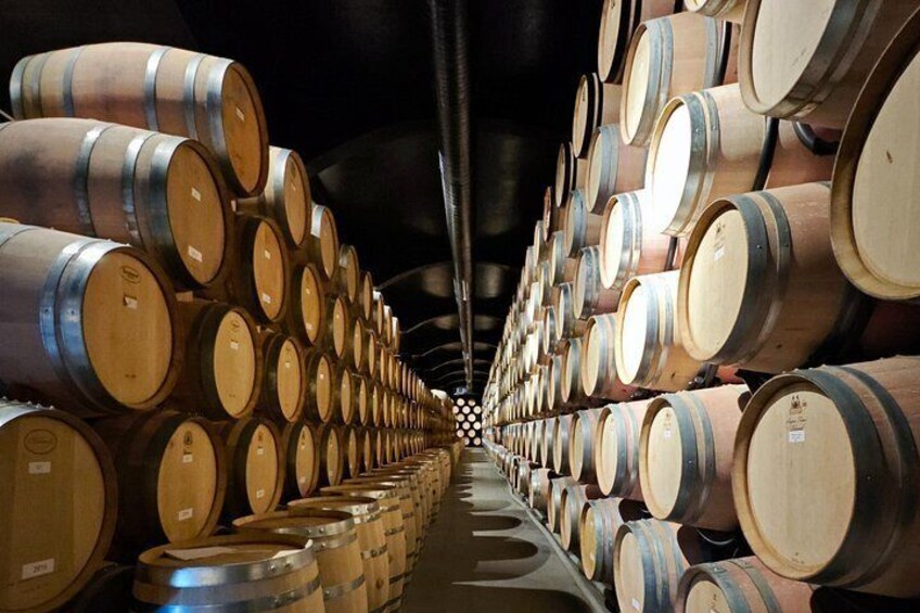 Private Douro Valley Wine Tour with a Historian & Fine Dining 3