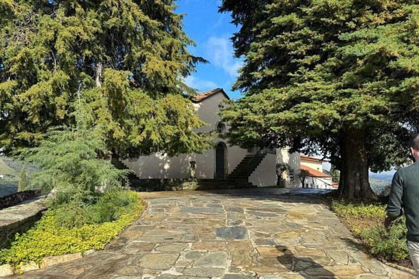 Private Douro Valley Wine Tour with a Historian & Fine Dining 5