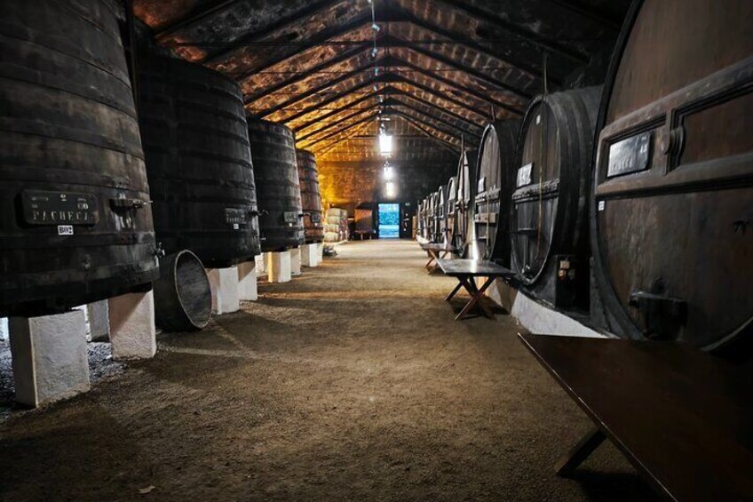 A row of large wine barrels in a dimly lit cellar. 1