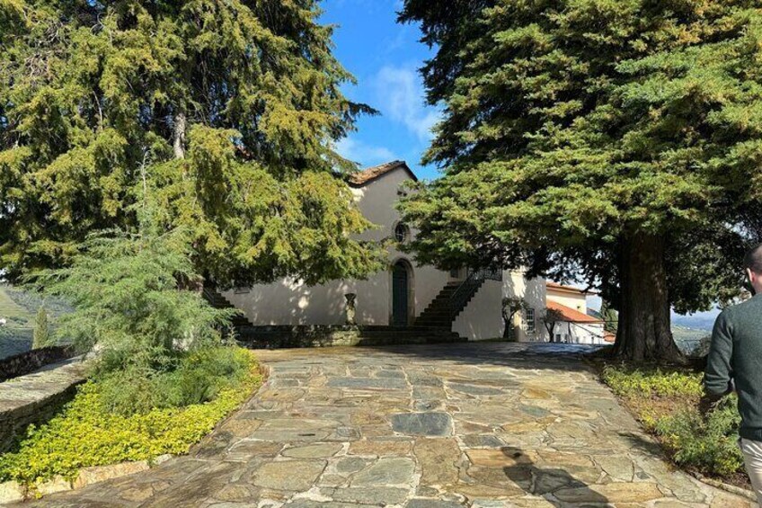 A stone pathway leading to a building with a red roof, surrounded by trees and greenery. 5