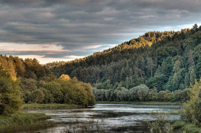 A river flowing through a forested area with dense trees and a cloudy sky. 3