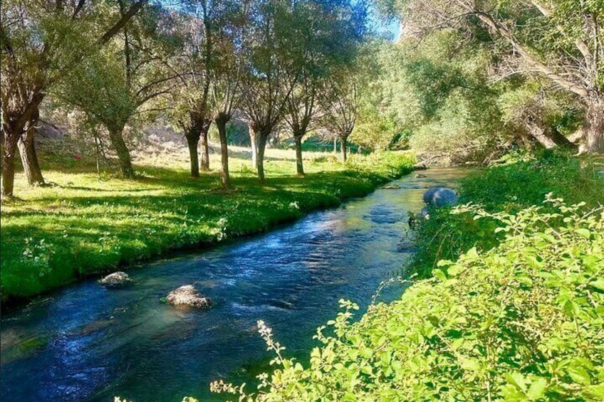 A river flowing through a park with trees and greenery. 5