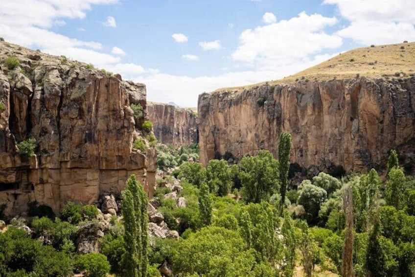 A canyon with steep cliffs and dense green vegetation. 1