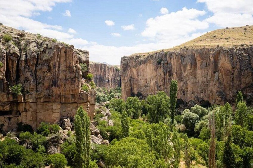 A canyon with steep rock faces and dense green vegetation. 1